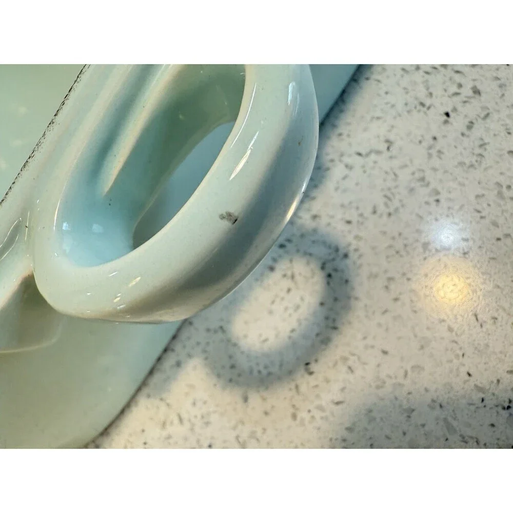 Vietri Italian Rectangle Ceramic Baking Dish Aqua 8